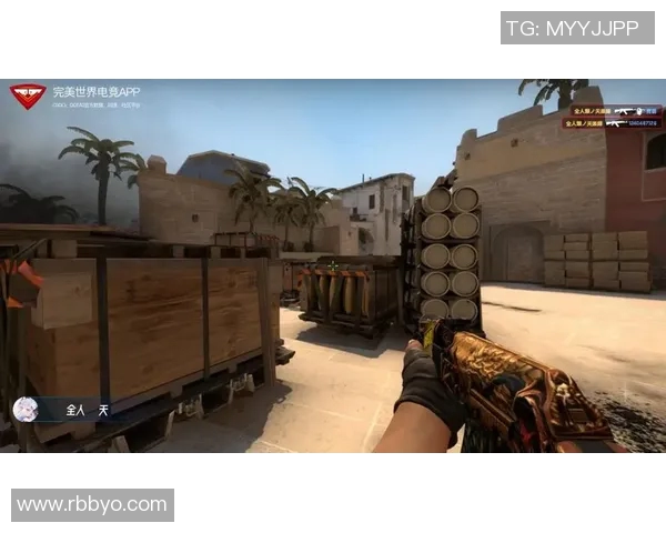 s15电竞CSGO战术V5边路渗透体系的全面解析与实战应用探讨
